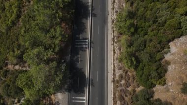 Otoban ormanı