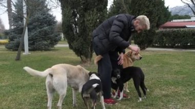 Sokak Köpeğiyle Gençlik Oyunları