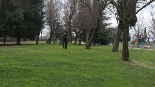 Fadge Jogging no parque — Vídeo de Stock