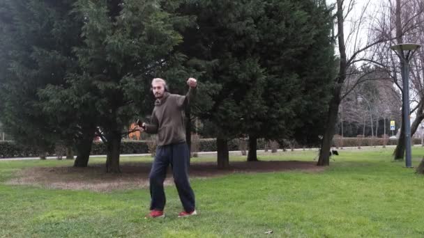 Танці на траві — стокове відео