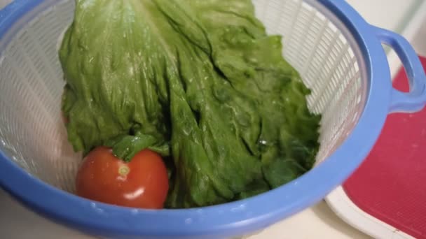 Lavar a salada — Vídeo de Stock