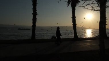Sunset Park Silueti