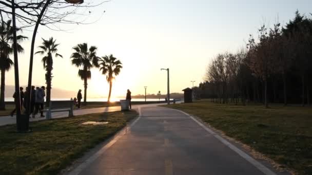 Frau läuft im Park — Stockvideo