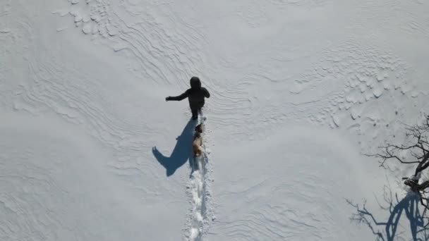 Zimowa przyjaźń z psem — Wideo stockowe
