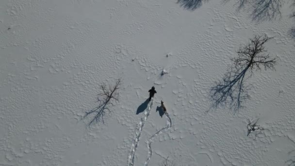 男人和狗在雪中 — 图库视频影像