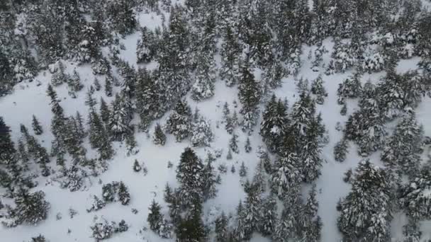 Drone Snowspace Filmagem — Vídeo de Stock