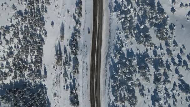 Autostrada nel giorno nevoso — Video Stock