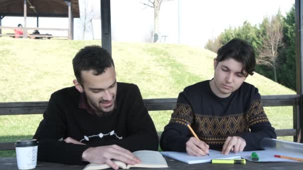 Dos chicos estudiando al aire libre — Vídeo de stock