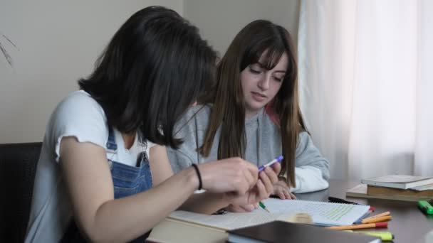 Twee leerlingen die samen studeren — Stockvideo