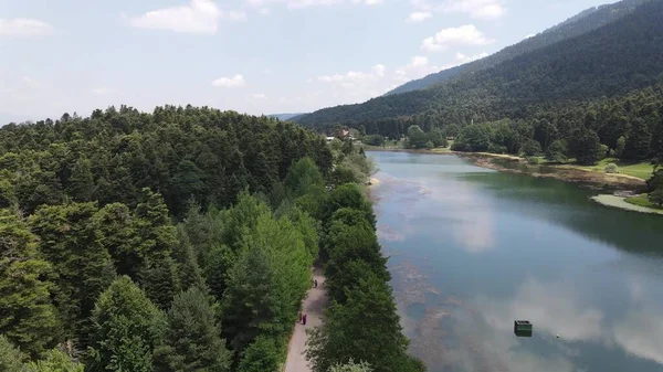 Drone aéreo natural da floresta do lago do Paysage — Fotografia de Stock