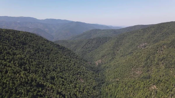 Efsanevi Yeşil Atlı Hava Görünümü