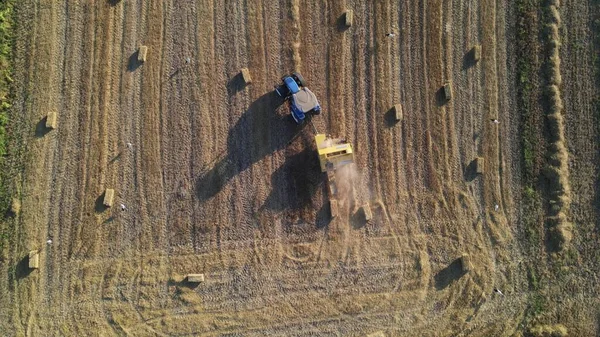 Doba sklizně zemědělství Letecký dron — Stock fotografie