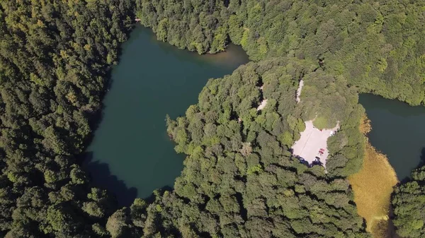 Lago Lagoa Floresta Natural — Fotografia de Stock