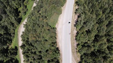 Ormanda araba gezisi.