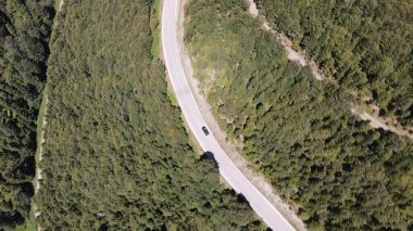 Ormanda araba gezisi.