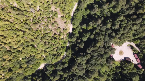 Estrada da floresta montesa que conduz a vista aérea — Fotografia de Stock