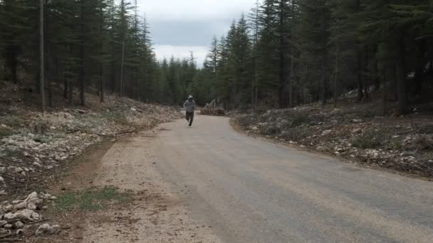 Muž Jogging Asfaltové Cestě Lese Image Člověka Který Sportuje Hlavní — Stock video