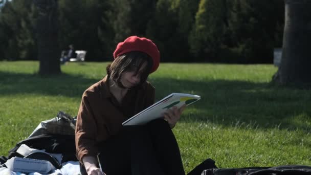 青草上的红帽画 户外的画家画 青草上的刷子画的年轻艺术家形象 — 图库视频影像