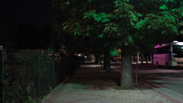 Jovem Caminhando Calçada Noite Pedestre Caminhando Noite Rua Formada Por — Vídeo de Stock