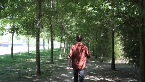 森の中を探検する若者 木々の間を歩く学生 緑の中で目的地に向かう人のイメージ — ストック動画