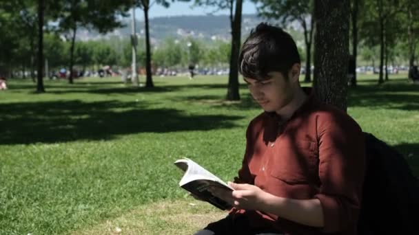 在阳光明媚的日子里 年轻人靠着树看书 在绿地公园里放松 在阅读小说的时候放松 — 图库视频影像