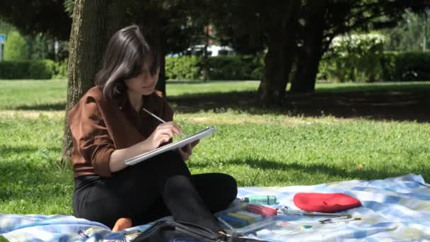 Artista Sentado Chão Grama Desenhando Com Escovas Cores Livre Pintando — Vídeo de Stock