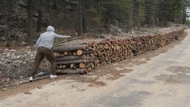 Kapüşonlu Genç Bir Adamın Ağaç Kütüklerini Kullanarak Spor Yapması Kütüklerle — Stok video