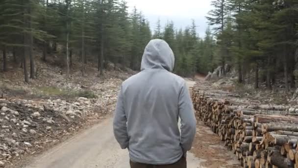 森の中の未舗装の道路をハイキングし 森の中でリラックスし ポケットに手を入れて森の中をハイキングし 針葉樹林の中を歩く活動時間 — ストック動画