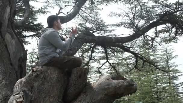 Young Muslim Sitting Praying Green Forest Man Sitting Log Thinking — Stock Video