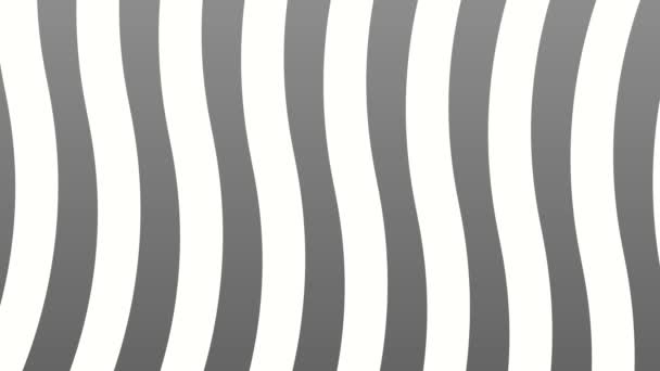 Gray Striped Background Pattern Stripe Seamless Gray White Colors Horizontal — Stockvideo