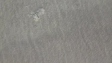 Sığ sularda oynayan balıkların insansız hava aracı görüntüsü, dalgalı deniz suyunda balık görüntüsü, karada yüzen balıkların görüntüsü.