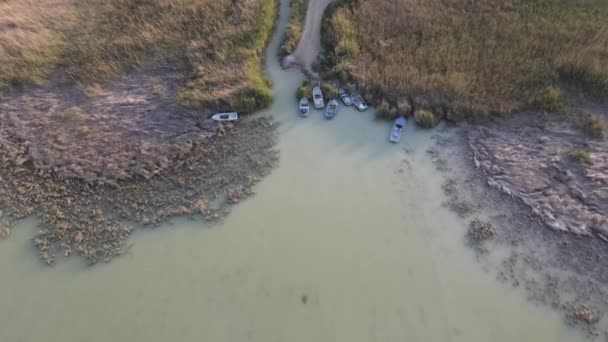 Aerial Drone View Goksu Delta Boats Anchored Delta View Swamp — Stok video