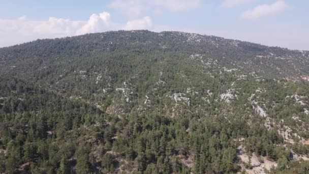 Aerial Green Mountain Forest Drone View Coniferous Green Pine Forest — Vídeo de Stock