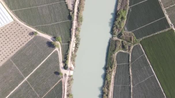 Drone View River Feeding Natural Delta Cultivated Green Fields Riverbank — 图库视频影像