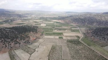 Geniş tarım arazisine genel bakış, yeşillik, insansız hava aracı görüntüleri tarım arazileri, tarım arazileri.