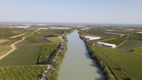 Pandangan Udara Dari Lahan Pertanian Hijau Tepi Sungai Pandangan Drone — Stok Video