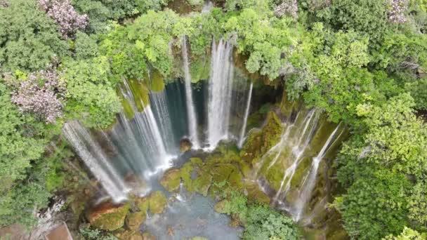 Magnificently Beautiful Waterfall Image Taken Air Water Flowing Green Bushes — ストック動画