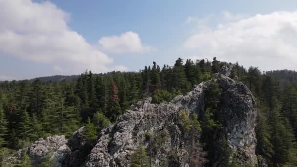 Drone View Mountain Peak Top Mountain Woodland Drone View Coniferous — Vídeo de Stock
