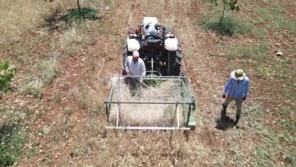 Drone View Workers Working Garden Tillage Tractor Equipment Drone View — Video Stock