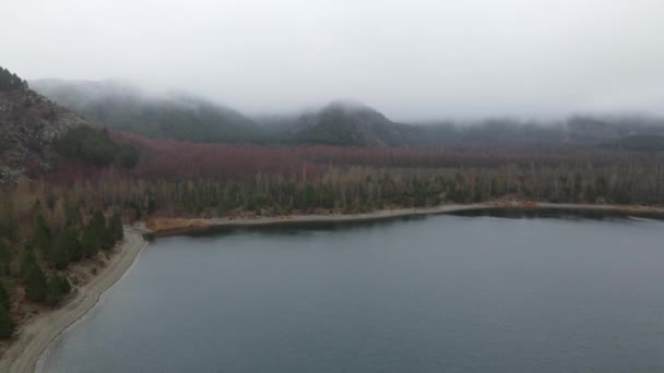 Drone View Pond Autumn Water Pond Dried Brown Leaves Autumn — Vídeo de Stock