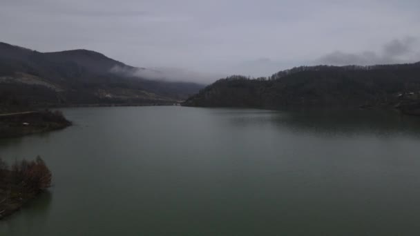 Images Dam Lake Waters Accumulated Valley Forest Drone View Hydroelectric — Vídeo de Stock