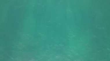 Aerial drone view of turquoise sea waves, sea waves shining with sunlight, view of clear beautiful waves in the sea, turquoise background image