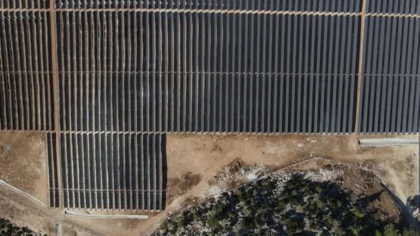 Солнечные Батареи Установленные Лесной Земле Беспилотный Вид Солнечную Энергетическую Систему — стоковое видео
