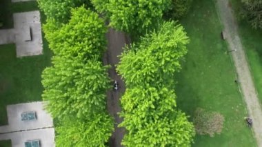Aerial green wooded park, drone view of bursa soganli park, public park in tea garden and greenery, natural place for special day shoots