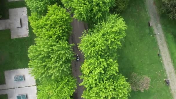 Aerial Green Wooded Park Drone View Bursa Soganli Park Public — Video Stock