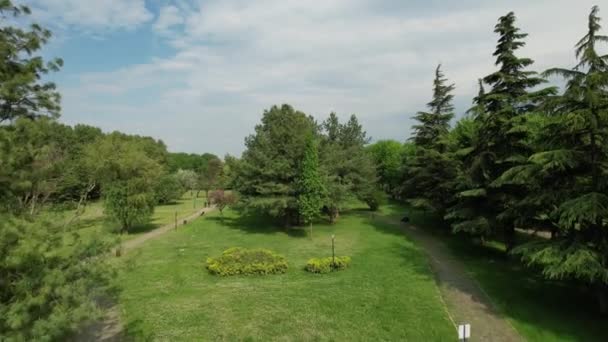Bursa Botanical Park Soganli Botanical Park Its Century Old Plane — Stock video