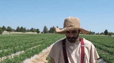 Bearded farmer walking Iin field, young male farmer walking through tomato field, agricultural man in field, straw hat farmer inspects the garden