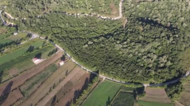 Drone view green landscapes, image of forests destroyed by the climate crisis, our forests is the lungs of our world