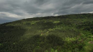 Aerial lush mountain landscape, wide green woodland drone view, beautiful forests of bursa drone footage, deep natural areas between green forest and blue sky