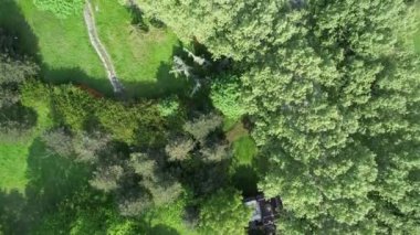 Aerial green dirt road, greenery by the lake weekend activity areas, green areas for families to rest and spend time